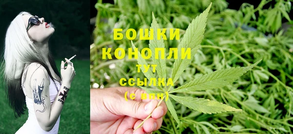 сатива Абинск