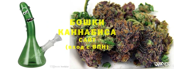сатива Абинск