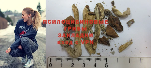 сатива Абинск