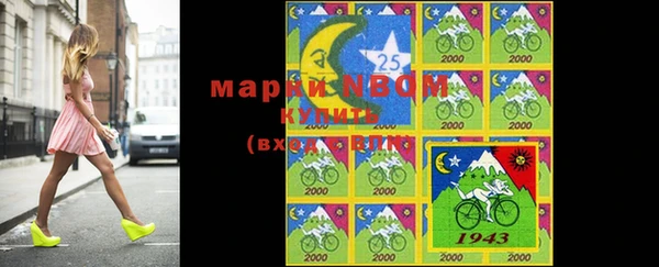 гашик Алзамай