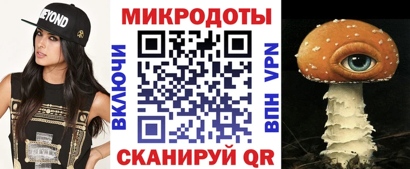 как найти закладки  Кочубеевское  Псилоцибиновые грибы Cubensis 